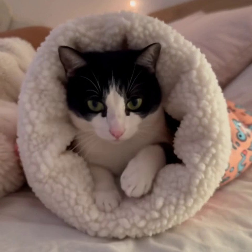 Gato dentro de su cama Miau Bag